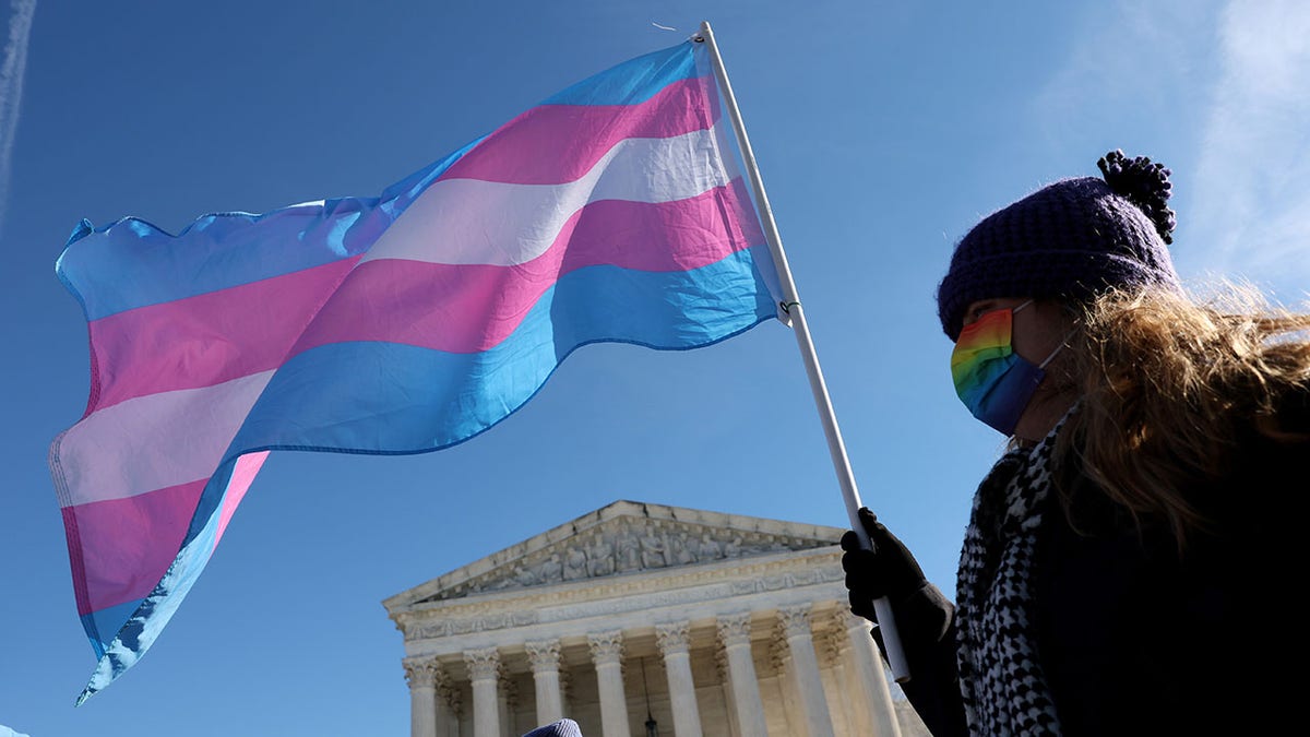 Trans protesters in Washington