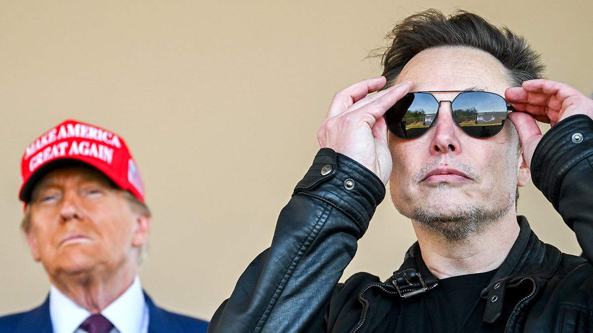 Donald Trump and Elon Musk