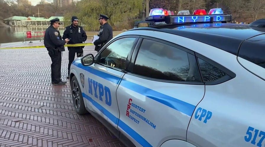 Police divers in Central Park during the manhunt for CEO's killer