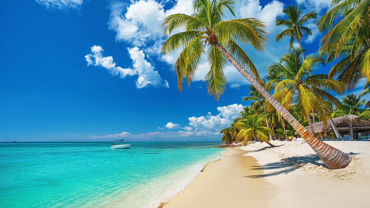 Tropical beach in Punta Cana, Dominican Republic. Caribbean island.