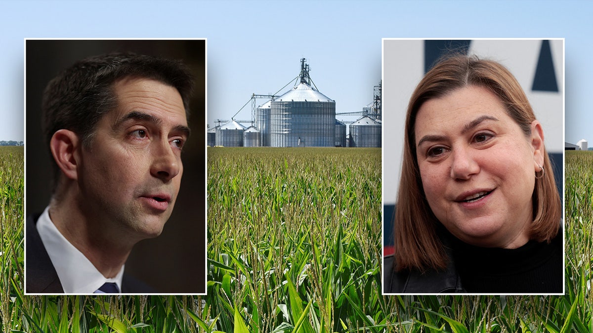 Tom Cotton, Elissa Slotkin