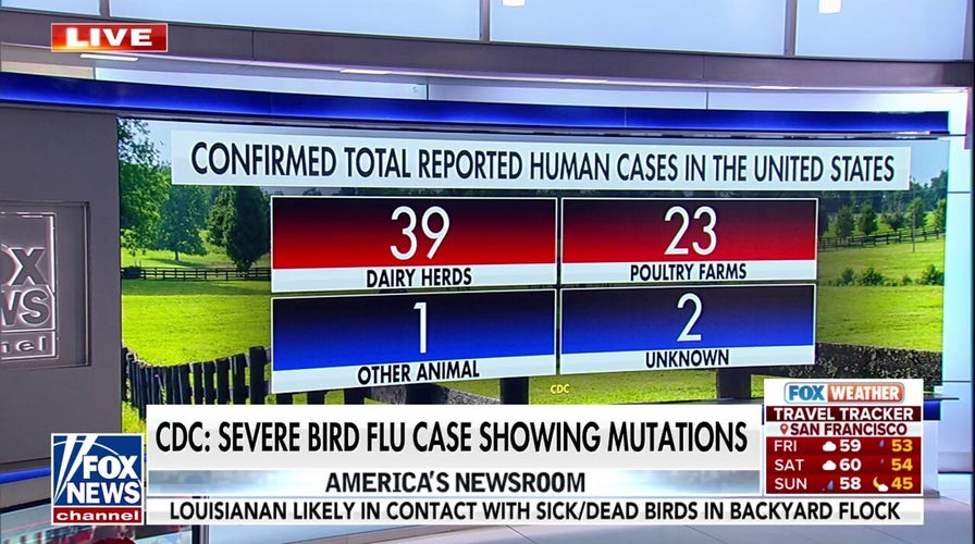 CDC warns bird flu virus showing mutations in severe cases 