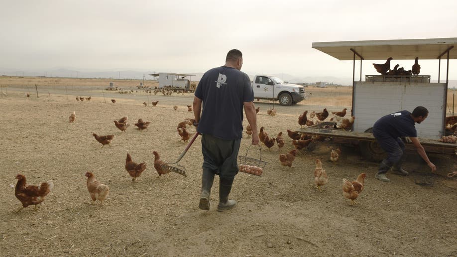 Tulare County Jail inmate farm