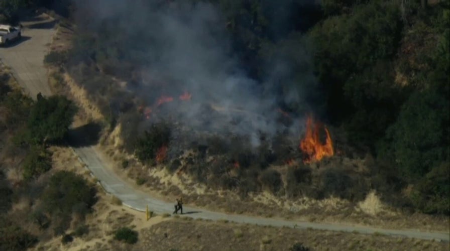 Los Angeles firefighters put out brush fire in Griffith Park