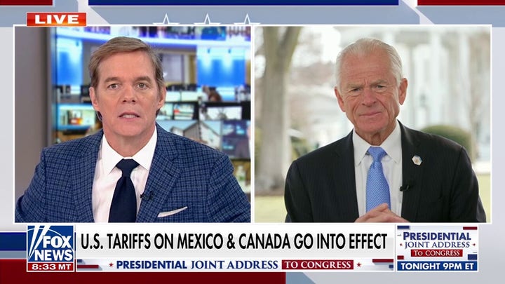 Peter Navarro on Trump tariffs: 'We're simply defending ourselves'