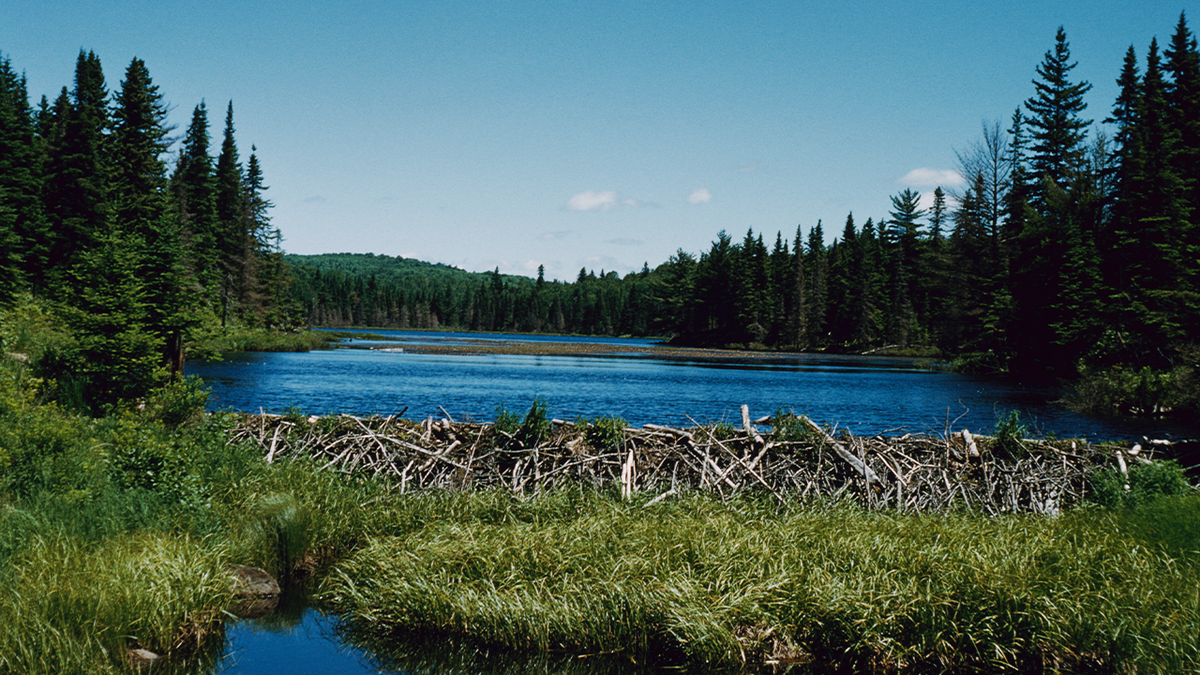 Canadian park