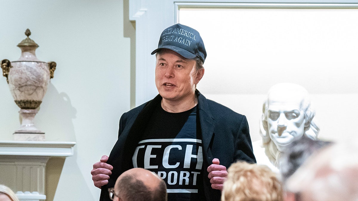 Tech executive Elon Musk