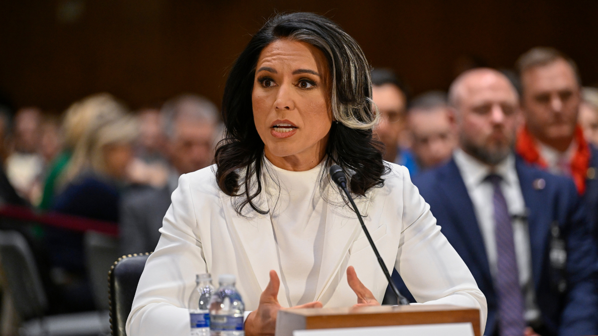 Tulsi Gabbard