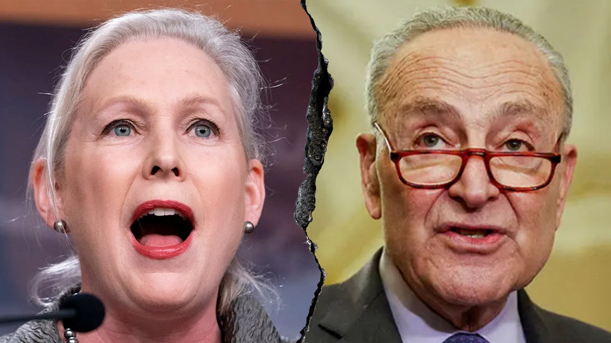 Sen. Kirsten Gillibrand, D-N.Y., was heard screaming inside Democratic senators' private lunch on Capitol Hill amid ongoing debate over the looming government shutdown.