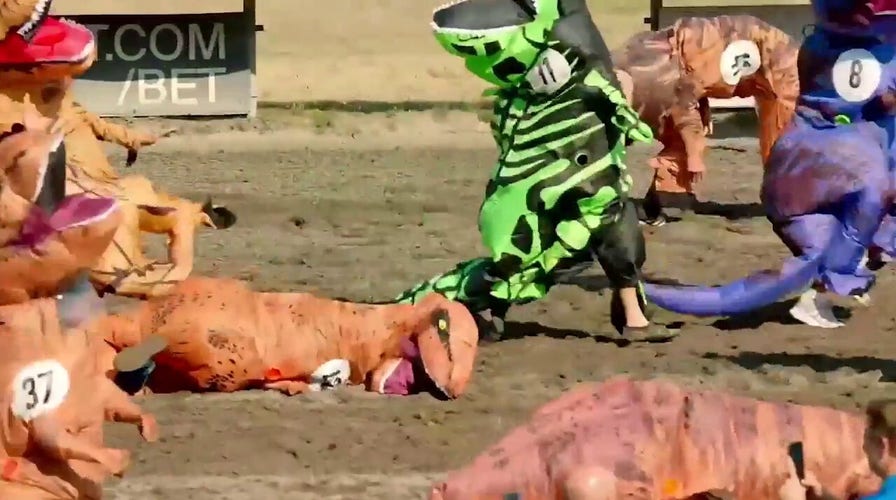 T-Rex world championships are dino-mite in Washington State