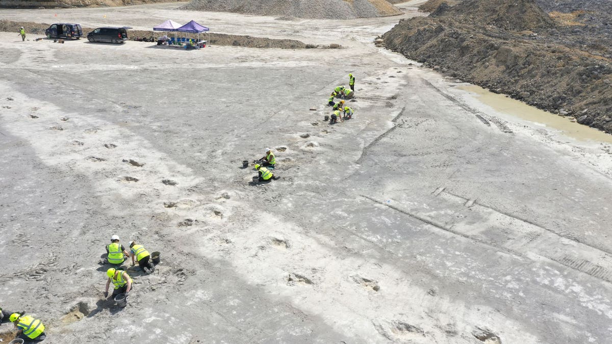 Workers gather around five extensive trackways that formed part of a "dinosaur highway" at Dewars Farm Quarry in Oxfordshire, England.