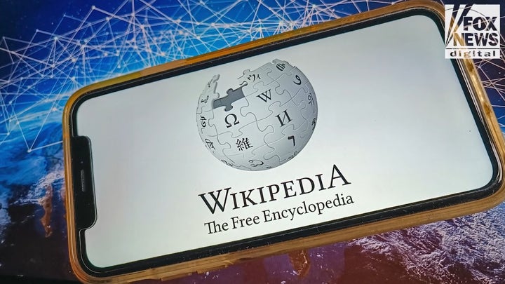 Wikipedia co-founder asks Musk, DOGE to investigate government influence on online encyclopedia