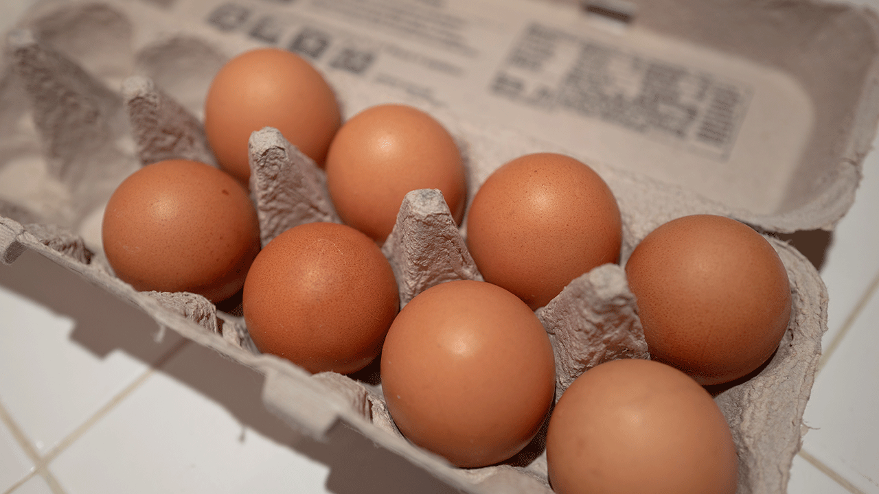 Egg carton opened