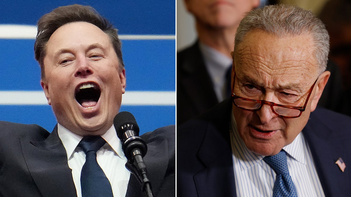 Left: Elon Musk; Right: Chuck Schumer