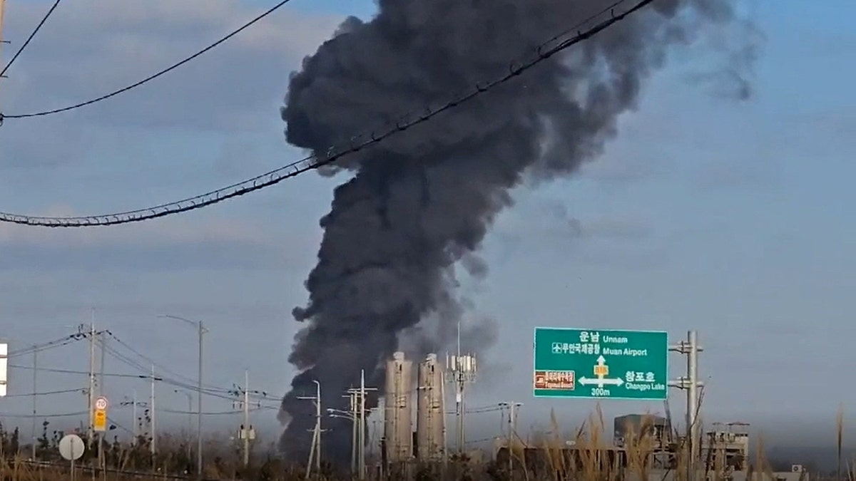 This screen grab from video footage captured near Muan International Airport shows black smoke billowing into the air from the airport in Muan