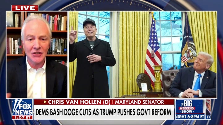 Dem senator slams Musk over DOGE reforms: 'This is an idiotic way to go about trying to make changes'