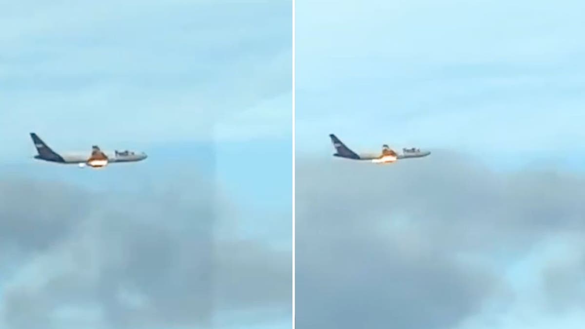 FedEx bird strike images