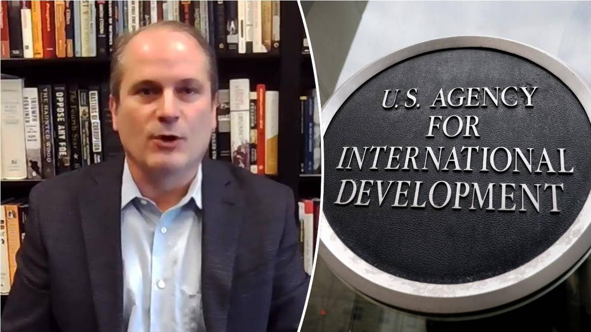 Mark Moyar, left; USAID logo, right