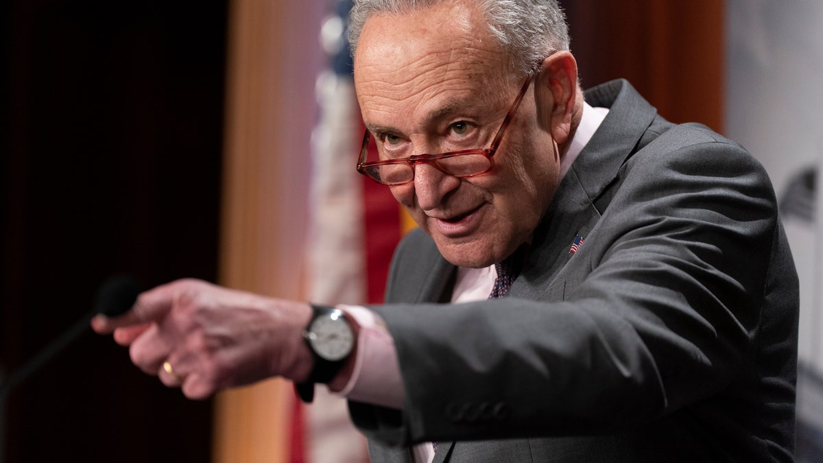 Sen. Chuck Schumer in closeup shot