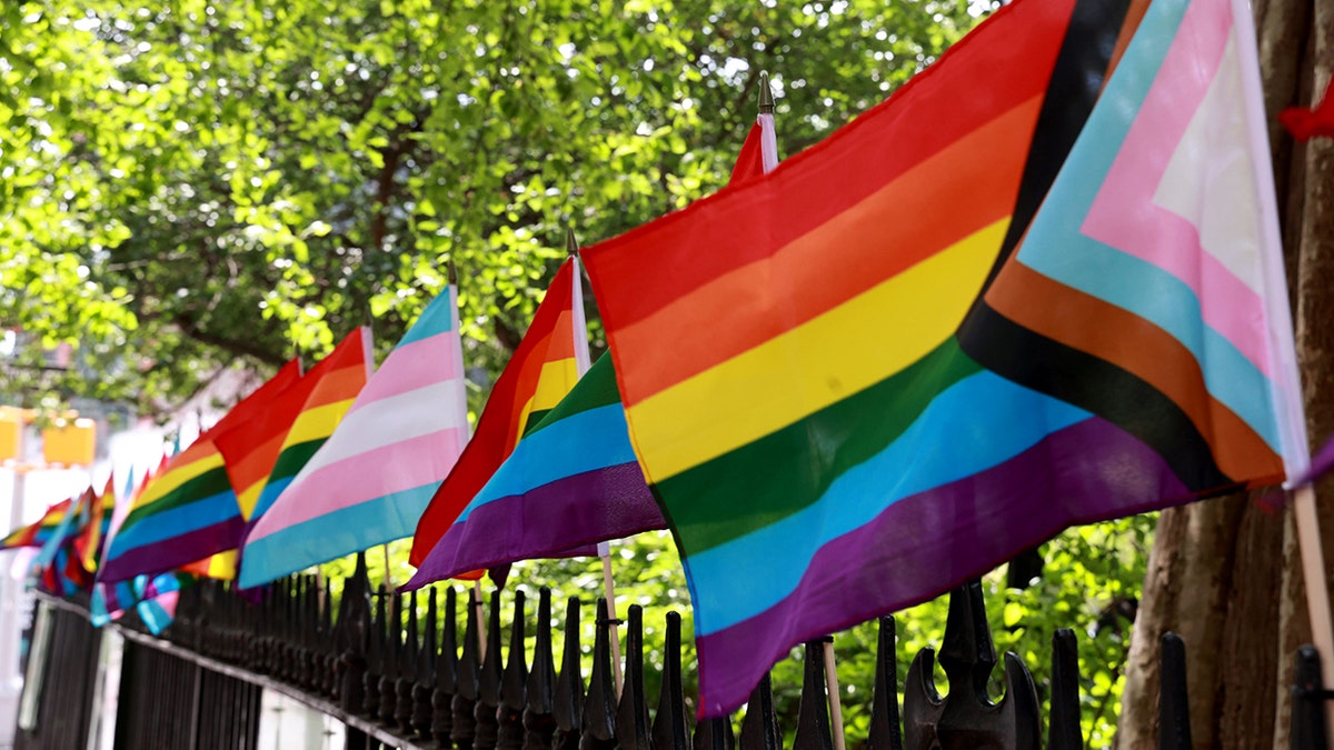 Pride, trans pride flags in row along fence