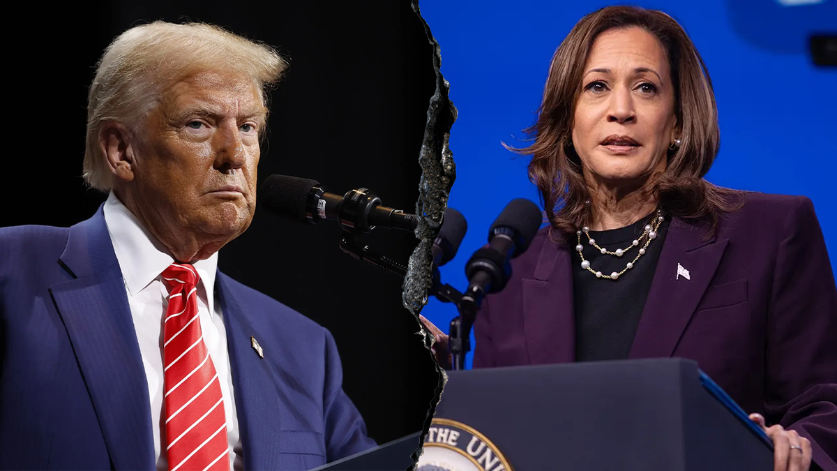 President Donald Trump, left, and Vice President Kamala Harris, right 