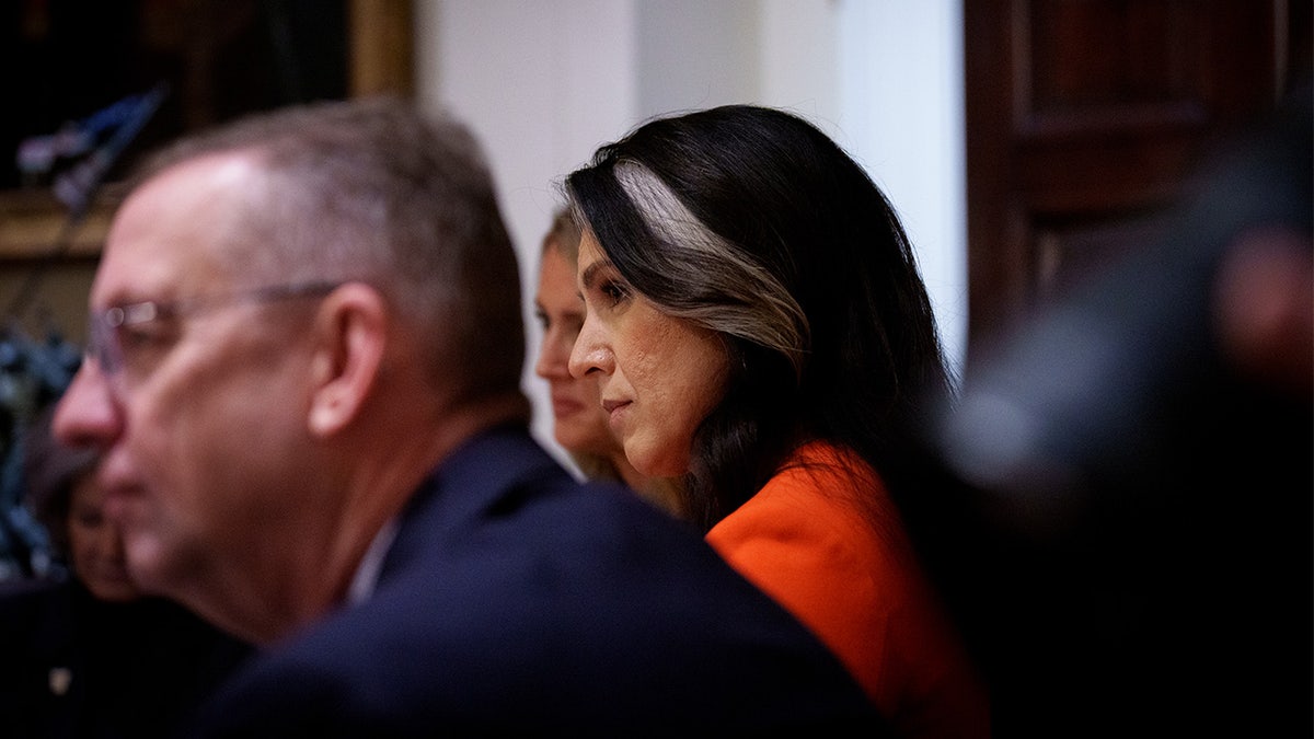 Tulsi Gabbard