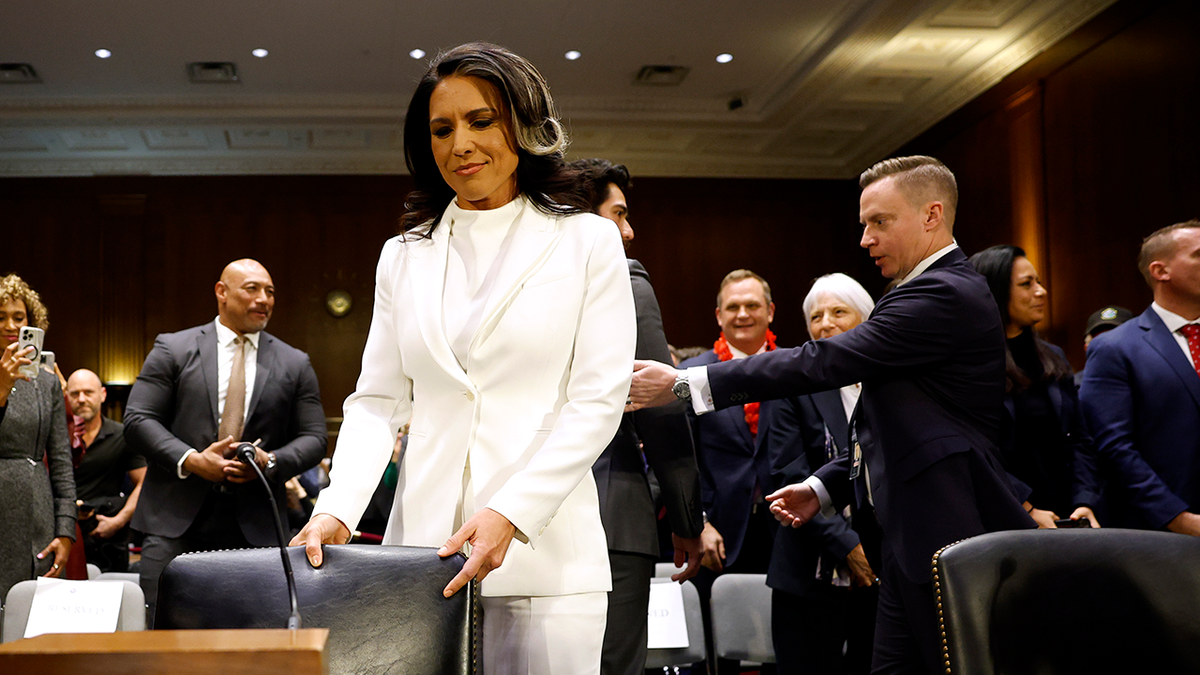 Tulsi Gabbard standing at hearing