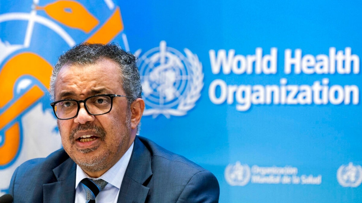 Tedros Adhanom Ghebreyesus, Director General of the World Health Organization (WHO)