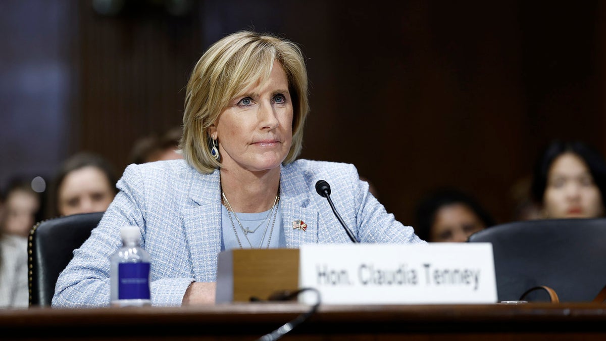 Tenney speaks during hearing