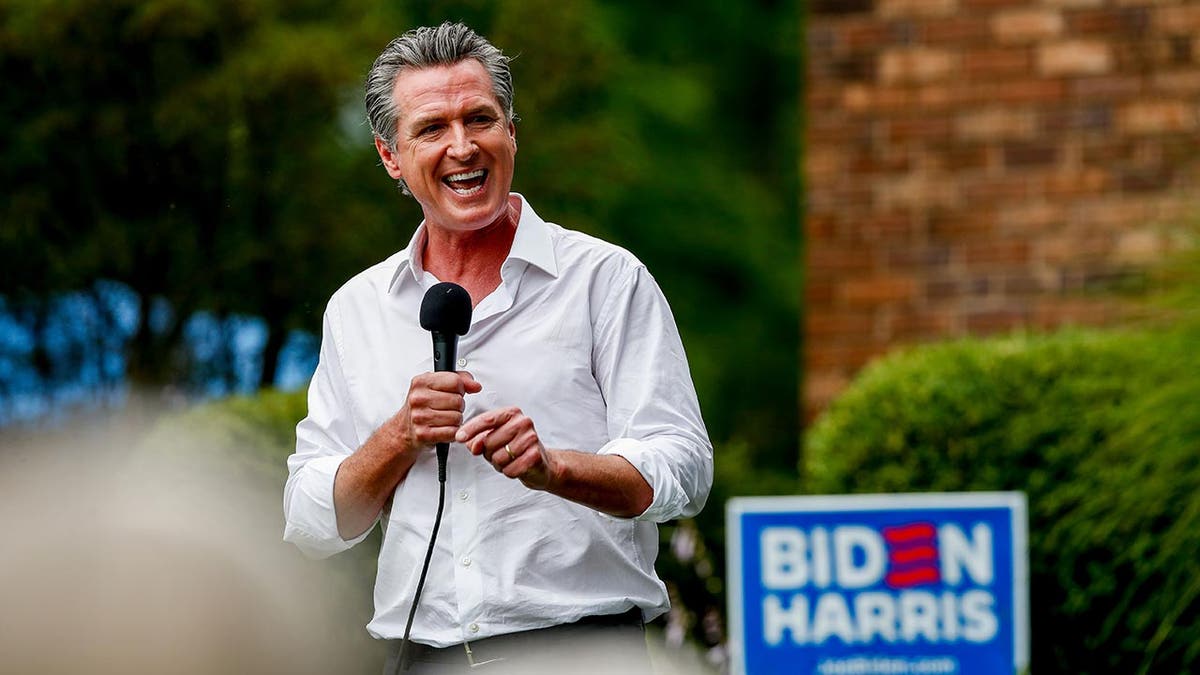 Gavin Newsom campaigns for Biden in Michigan