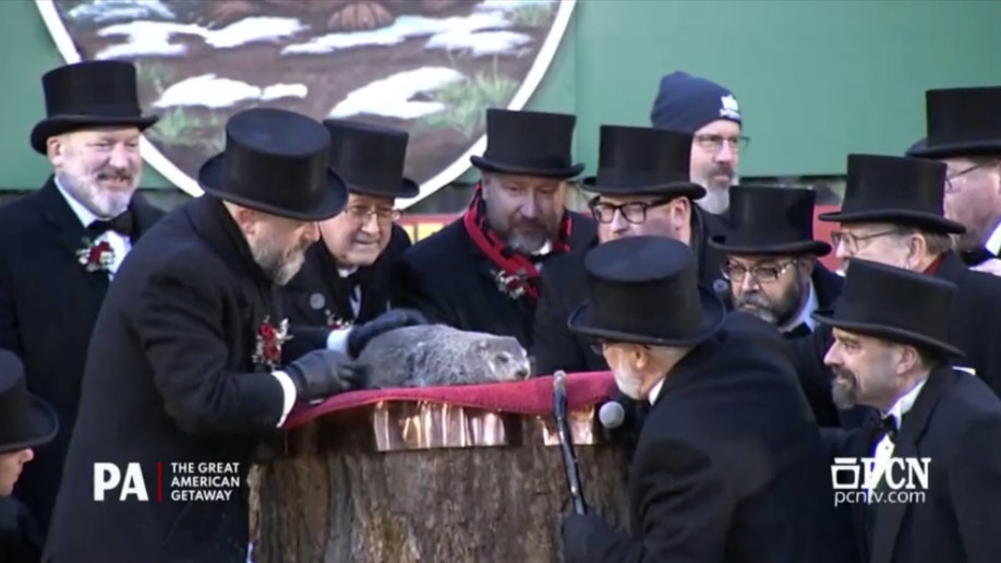 men surrounding groundhog