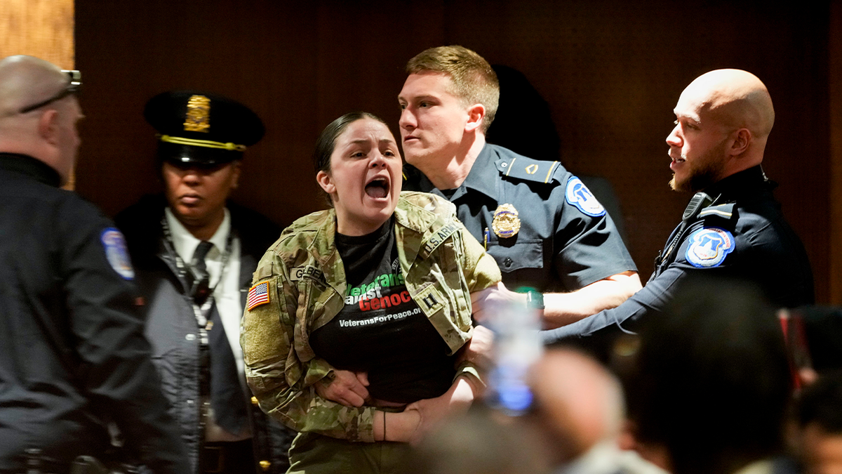 pro-Palestinian protester at Senate hearing yelling