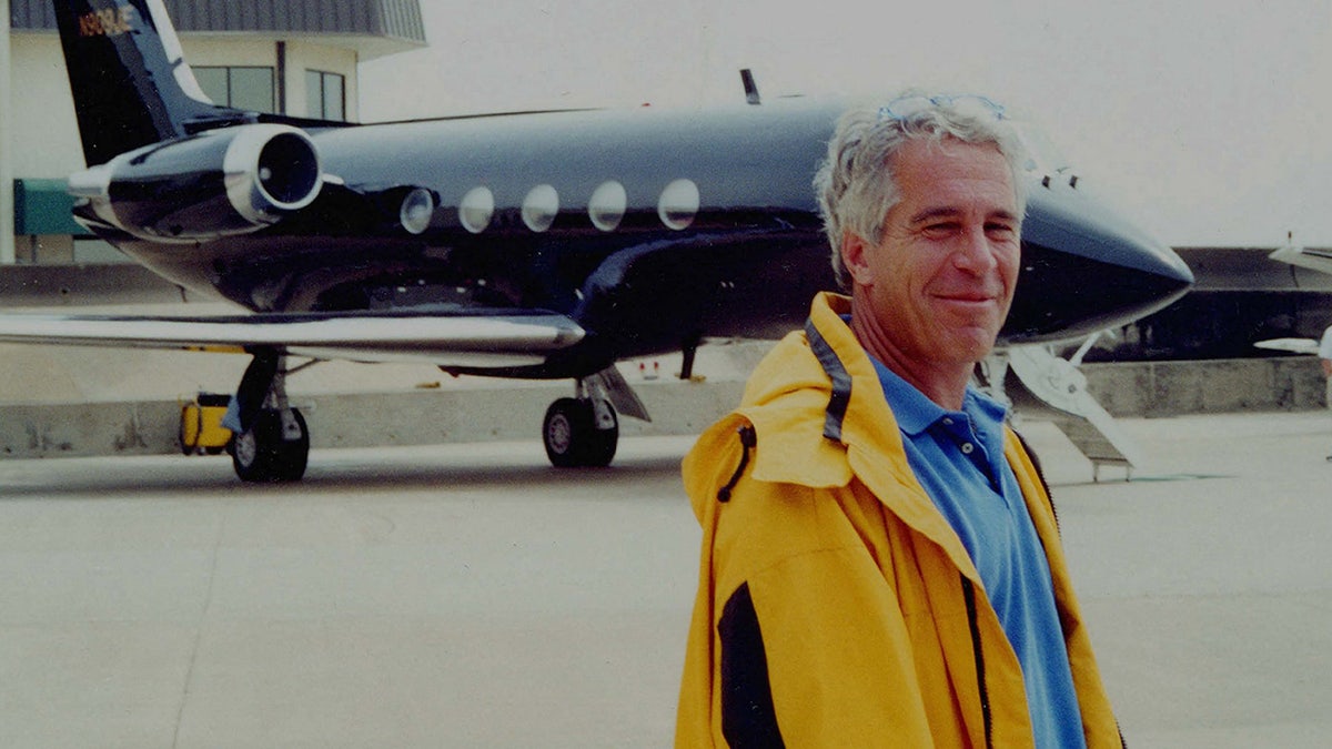 Jeffrey Epstein poses in front of his fleet of private jets