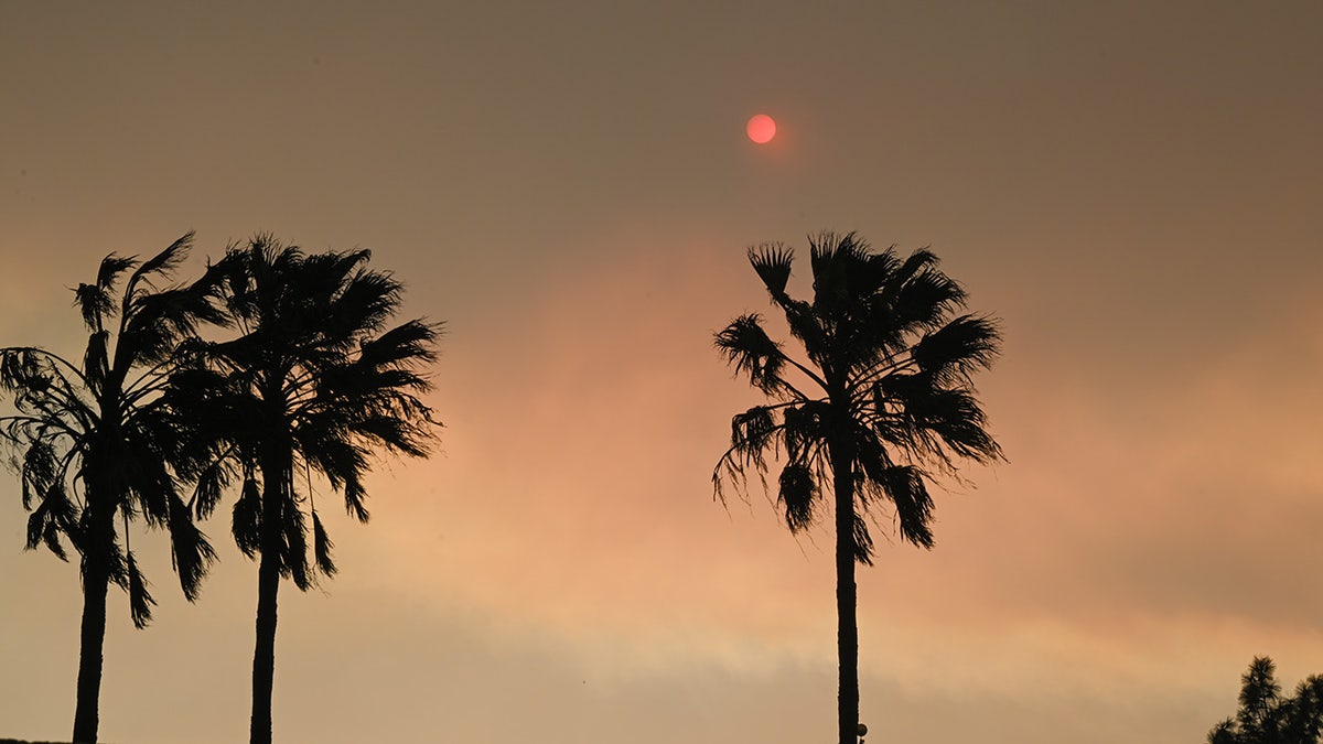 Aftermath of the California wildfires