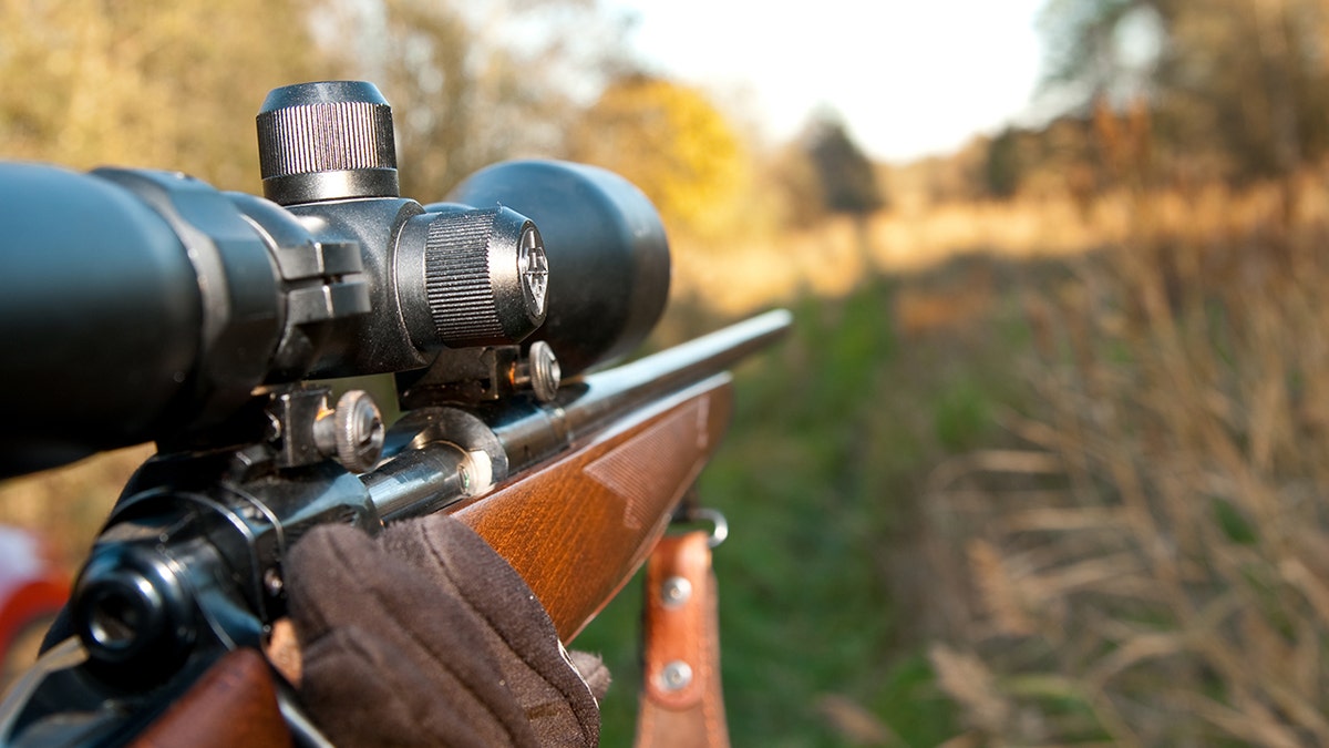 hunting rifle on iStock