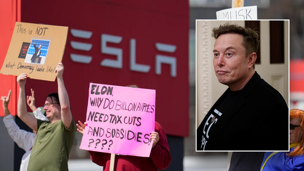 Elon Musk in a photo placed on a pic of protesters