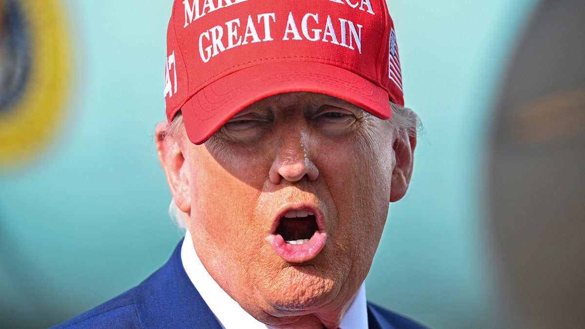 President Donald Trump pictured wearing a Make America Great Again hat