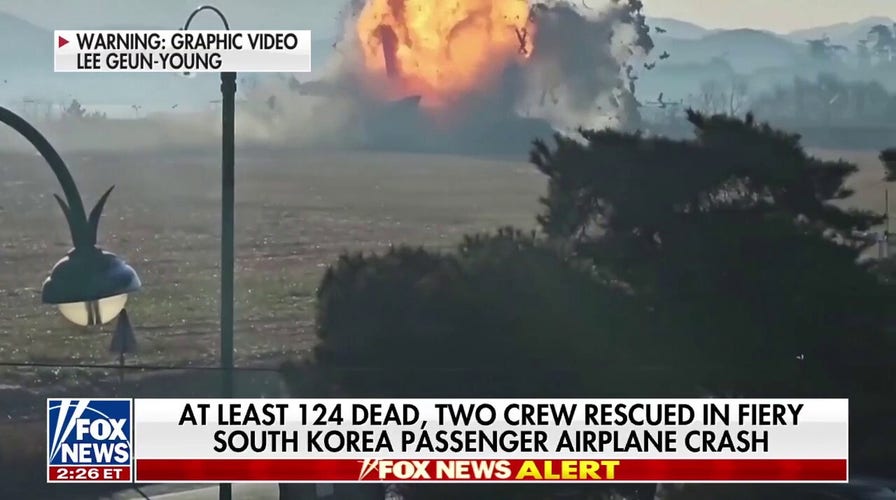 GRAPHIC WARNING: Plane skids off South Korea airport runway, dozens dead 