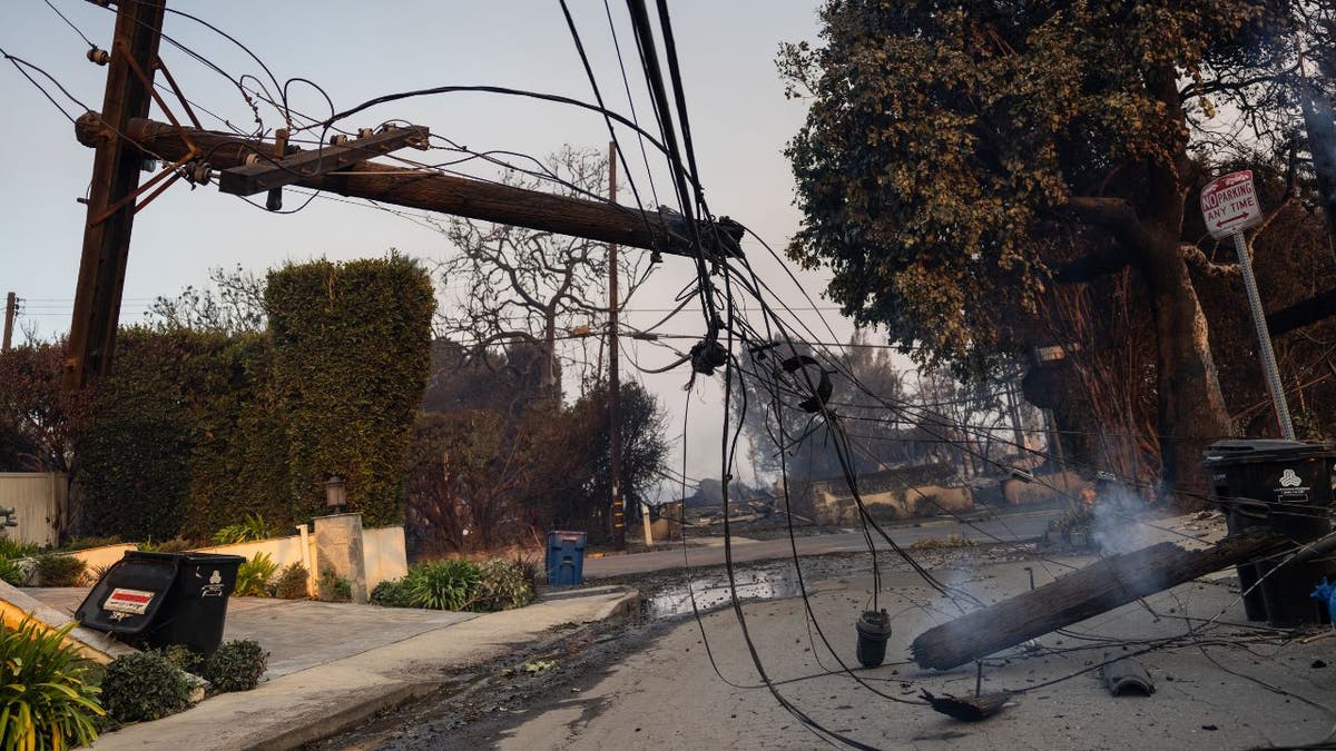 Downed power line