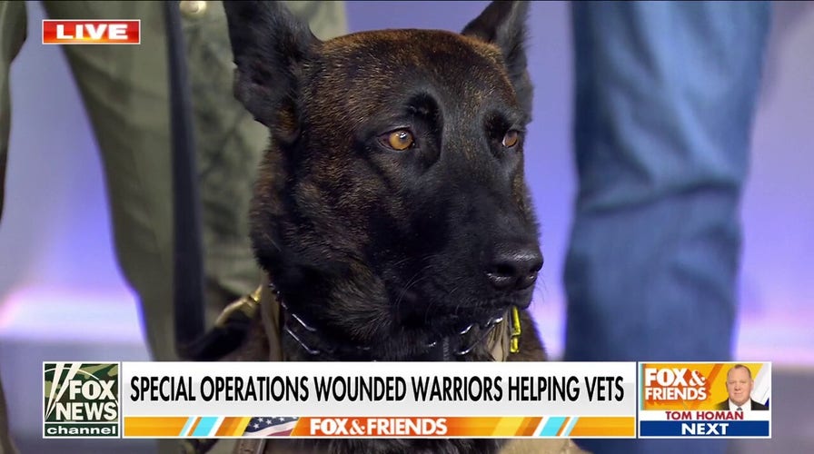 Special Operations Wounded Warriors teams up with Baden K-9 to help veterans in need