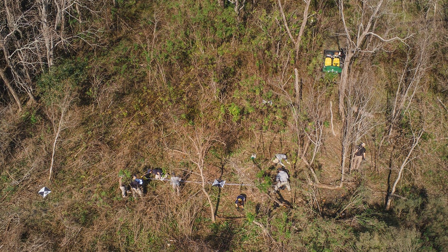 FBI search wooded area