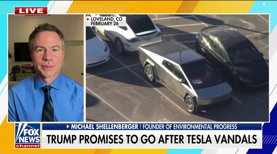 Environmental Progress founder rips Tesla vandals: 'Democrats are really lost'