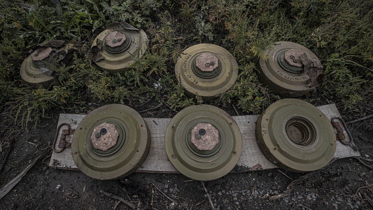 Ukraine mine clearance team collects anti-personnel landmines left behind by Russians 