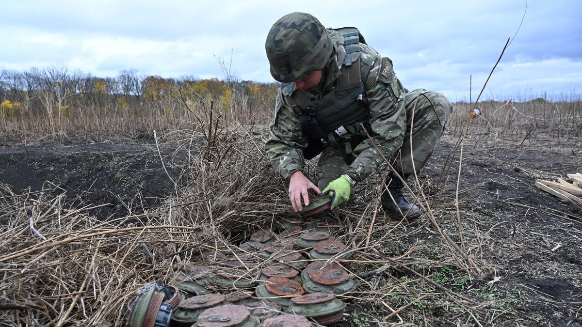 Ukrainian police inspect landmines found in Kharkiv