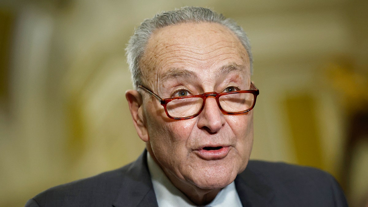 . Senate Majority Leader Chuck Schumer