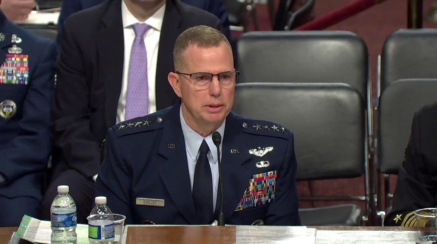 US Air Force General says there were over 350 drone detections at over 100 bases last year