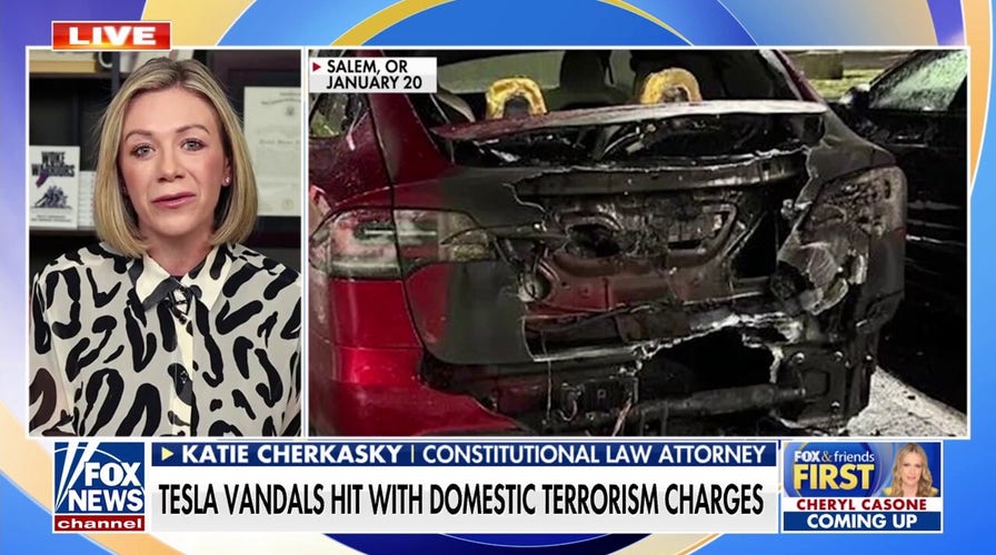 DOJ charges Tesla vandals with domestic terrorism 