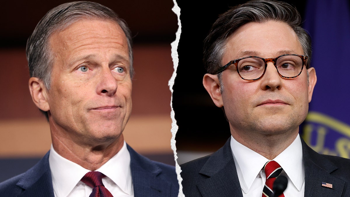 John Thune, Mike Johnson