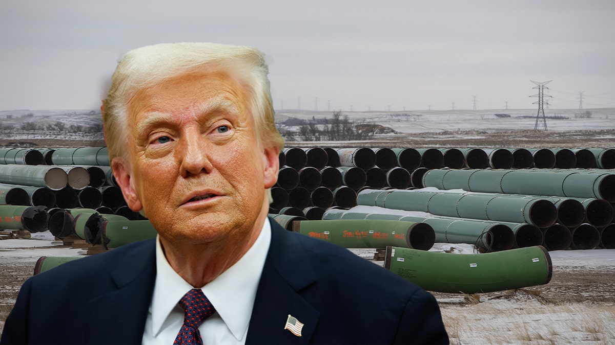 Trump in an edited image of the Keystone XL Pipeline