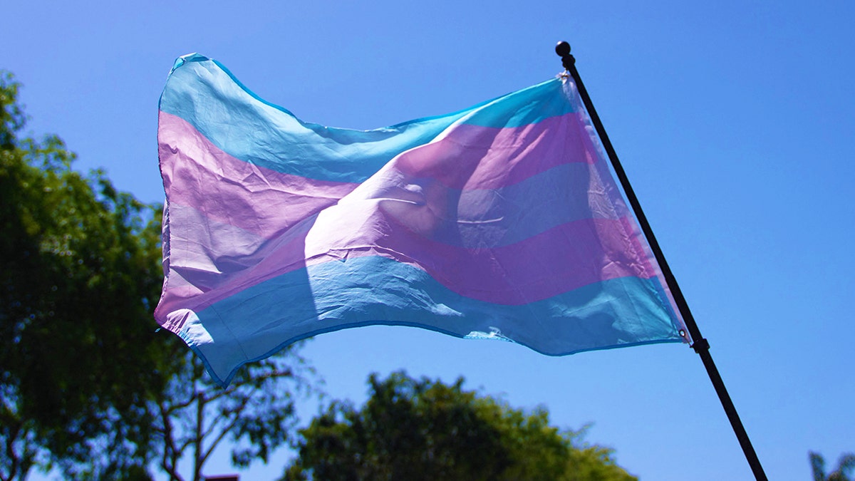 Transgender pride flag on pole